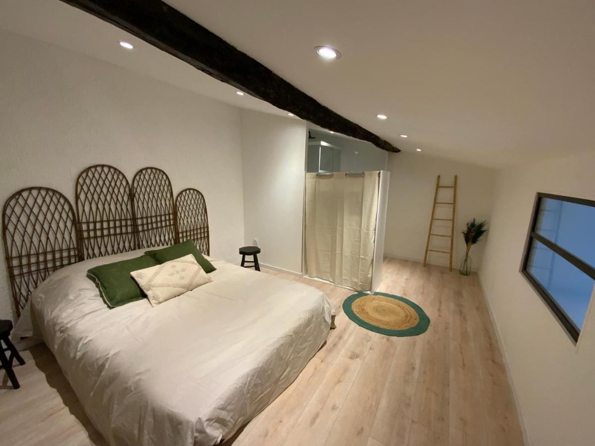 Tres Bel Appartement Refait A Neuf Perpiñán Exterior foto